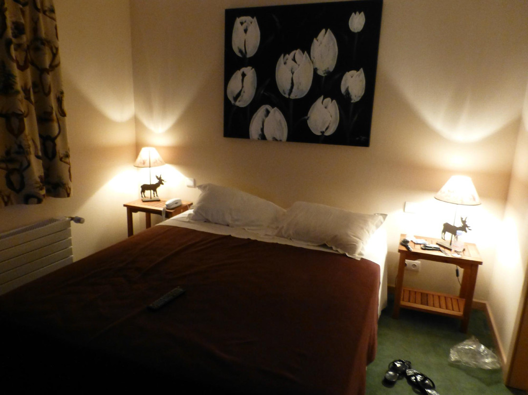 阿蒂尼酒店住宿-Hotel Restaurant Les Cigognes