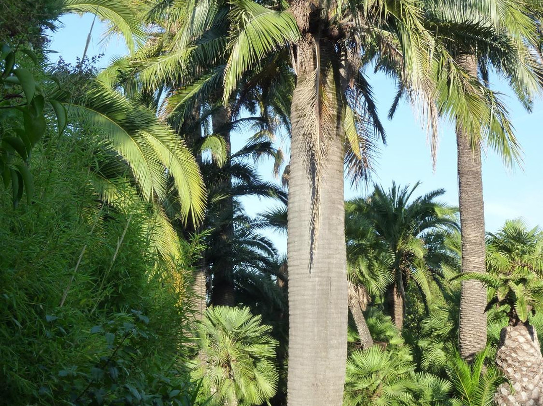 La Mandarinette主图