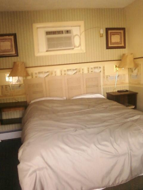 Hilton Dunes Motel主图