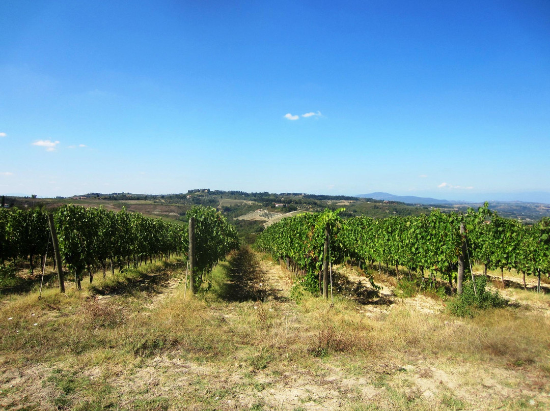 Il Fiaschetto-蒙特斯佩托利必去景点