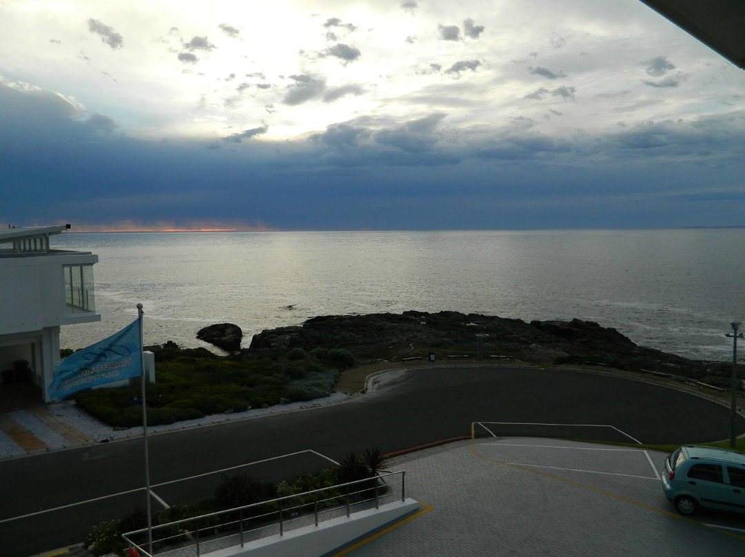 Harbour View