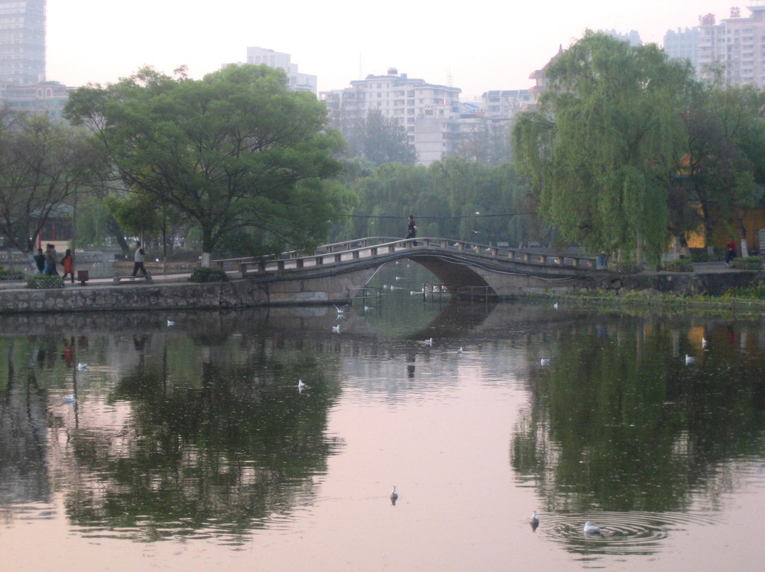 翠湖-昆明市必去景点
