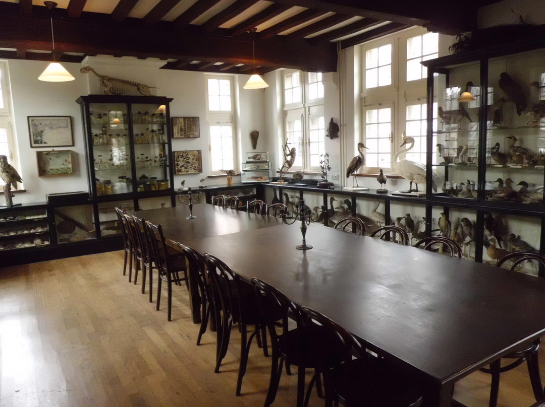 Natural History Museum of Maastricht