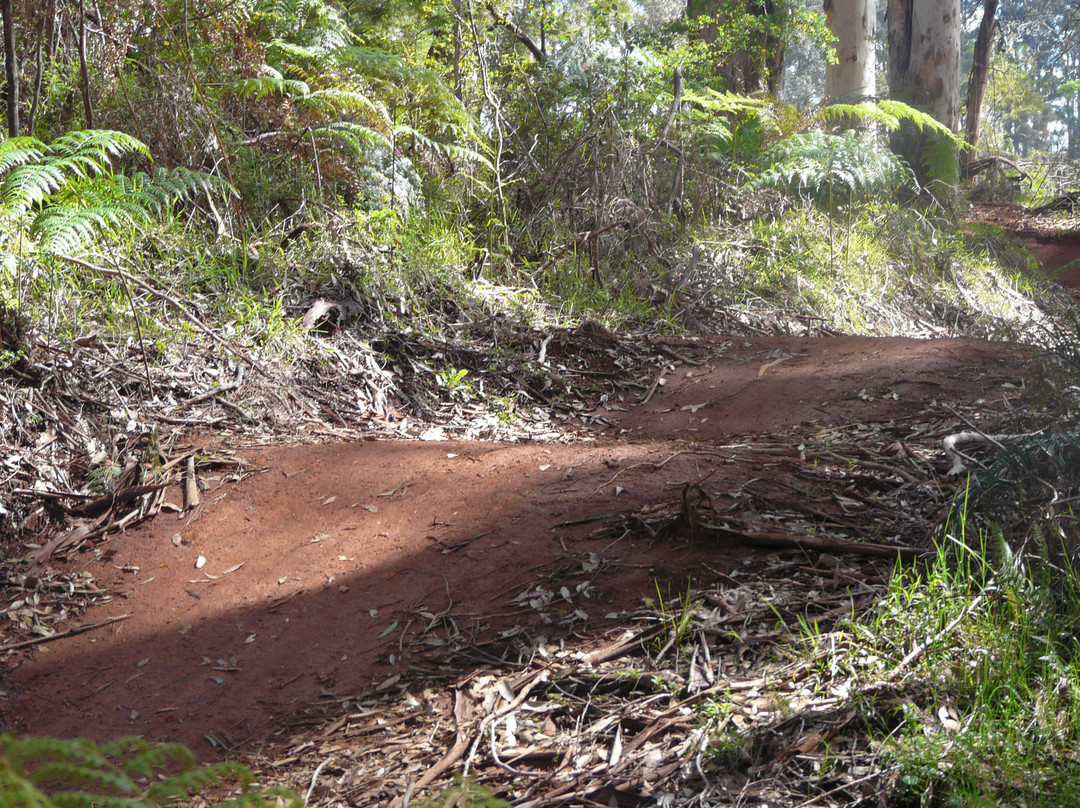 Pemberton Mountain Bike Park-彭伯顿必去景点
