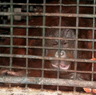 Malabon Zoo-马拉闵必去景点