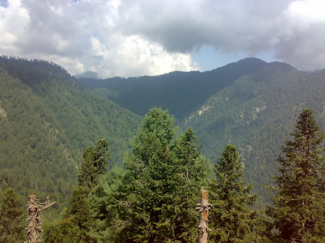 Dunga Gali Pipe Line Track-Nathia Gali必去景点