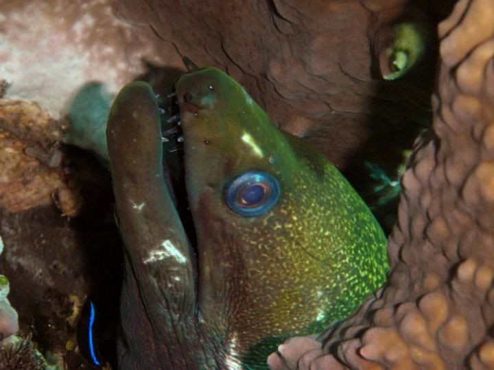 水游天堂潜水中心-图兰本必去景点