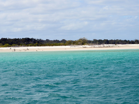 Freedom Whale Watch-赫维湾必去景点