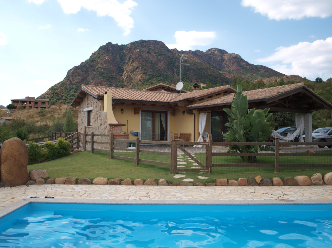 B&B Balloi