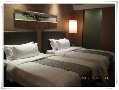 湛江嘉瑞禾酒店-客卧