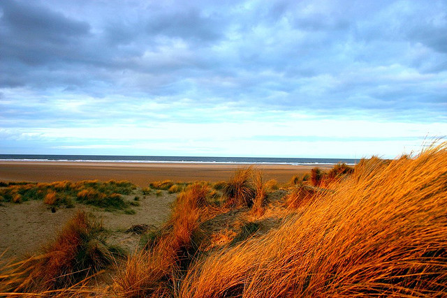 Holkham National Nature Reserve-Holkham必去景点