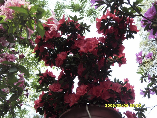 碧霞宝光景区-泰安市必去景点