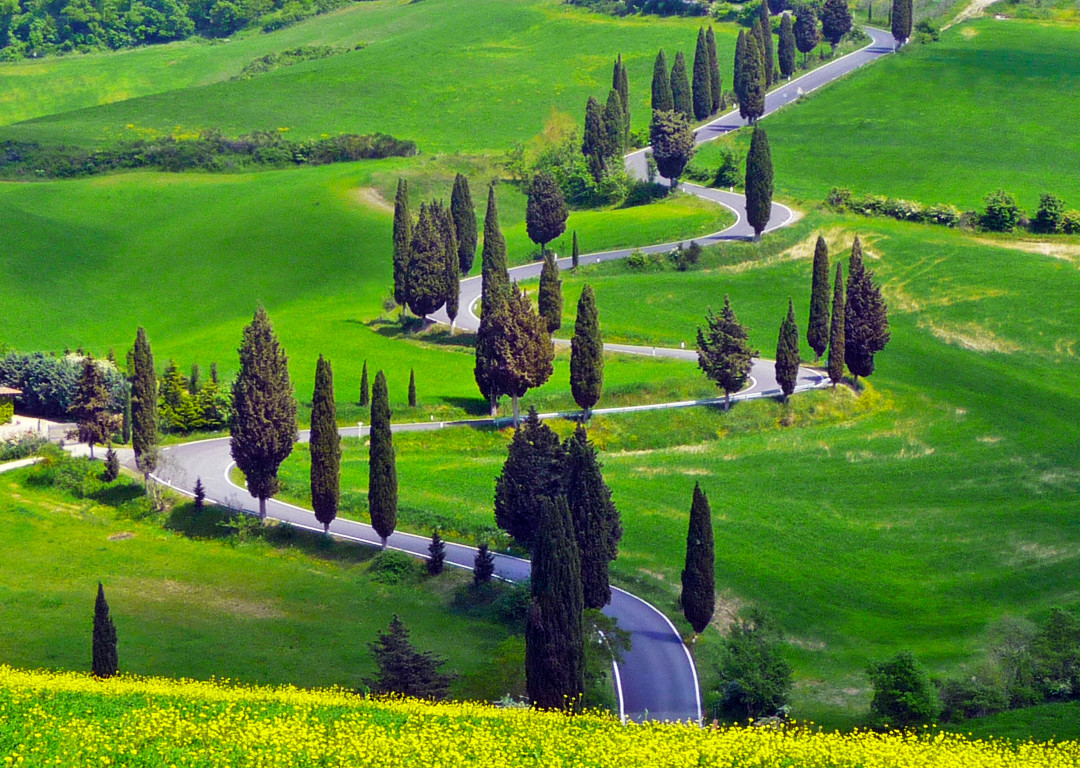 We Drive You Tuscany景点图片