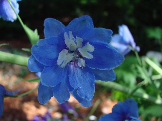 吉尔罗伊花园家庭主题公园-吉尔罗伊必去景点