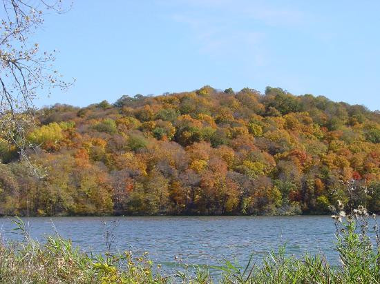 Maple Wood Park景点图片