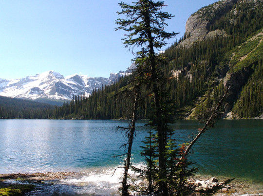 Great Divide Nature Interpretation-路易斯湖必去景点