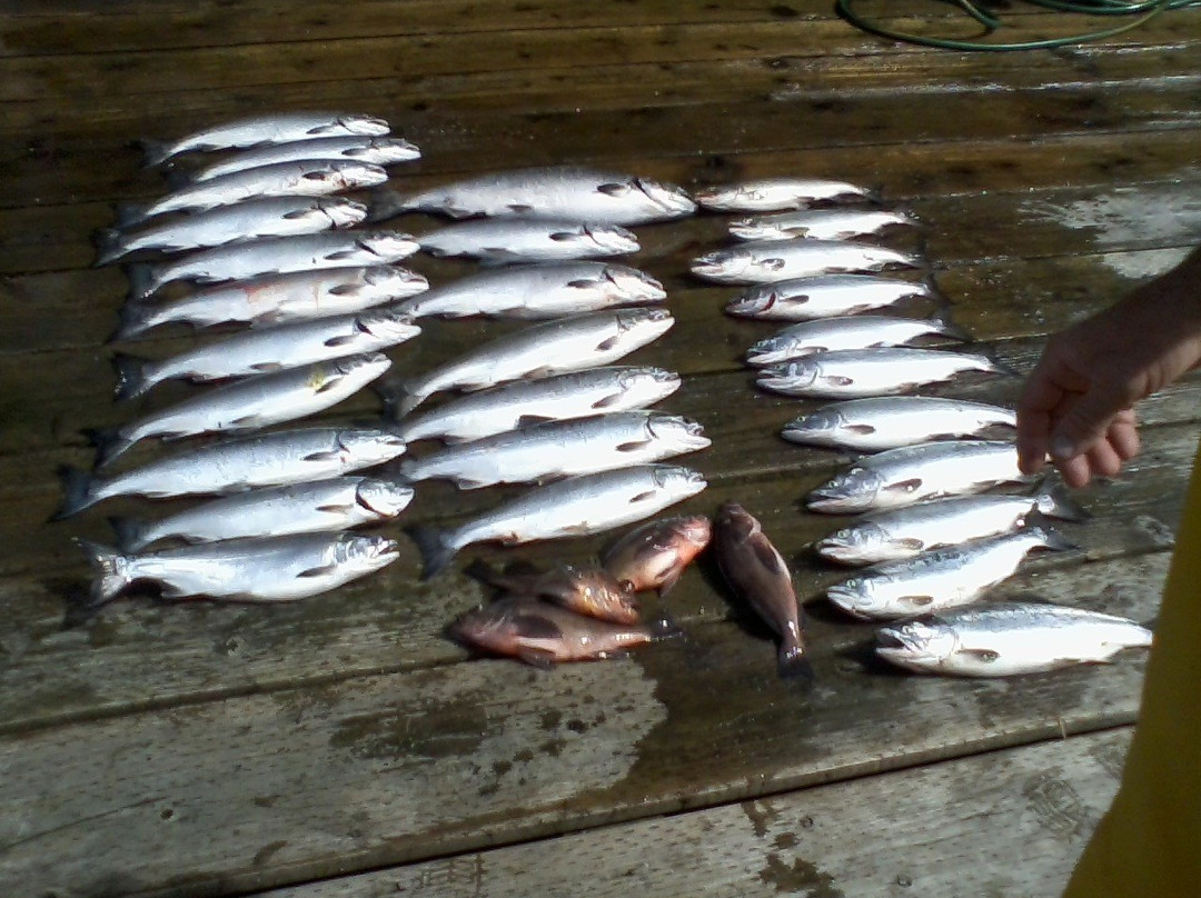 Clover Bay Lodge