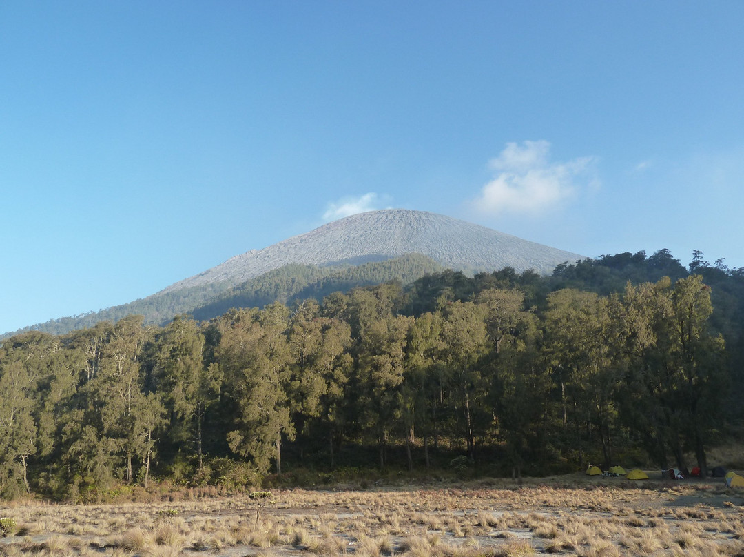 Pak Tasrip homestay