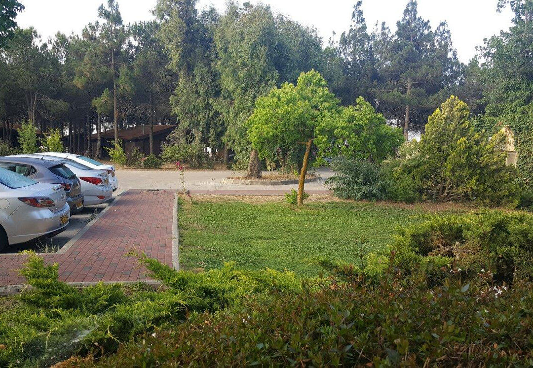 Hanof Hazfoni