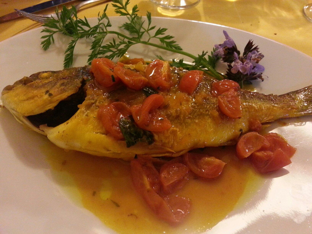 Valledoria餐馆和美食-Il Merlo Indiano