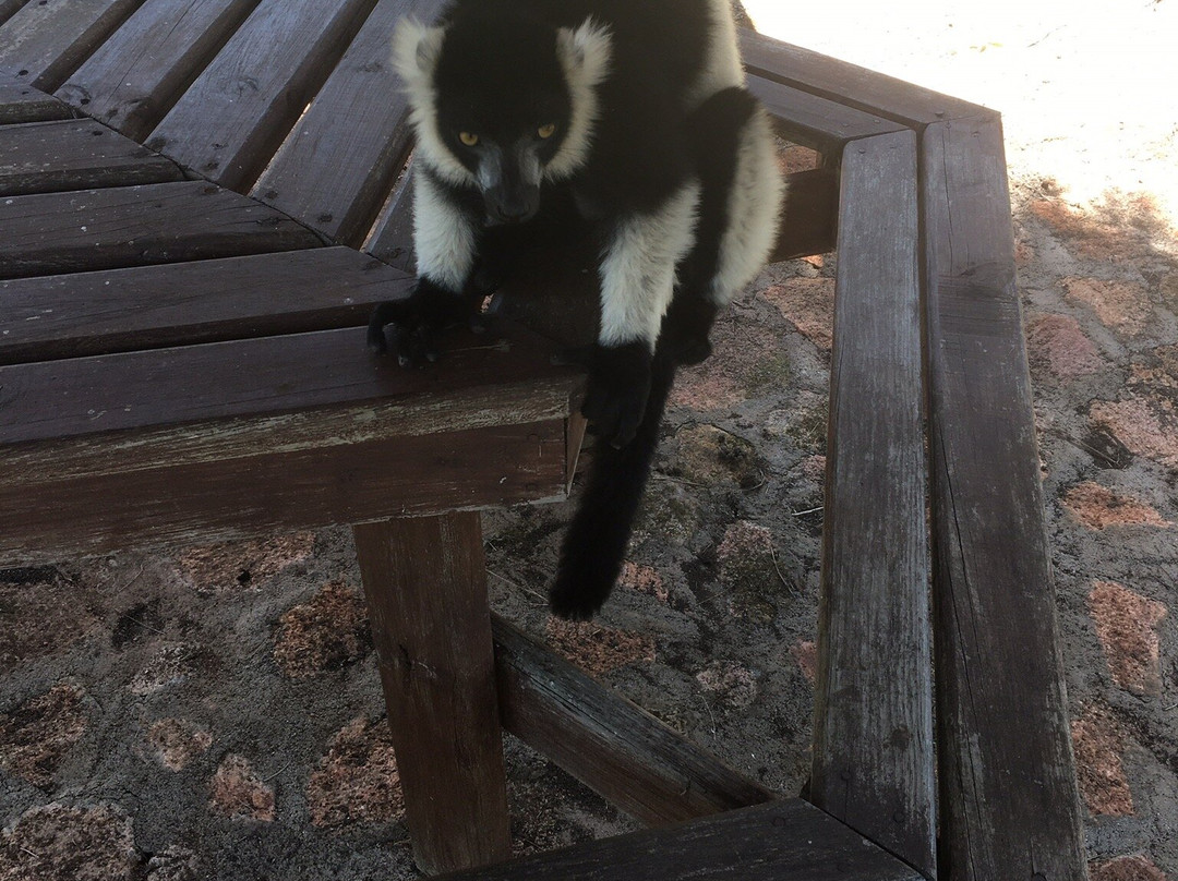 Nosy Soa Park景点图片