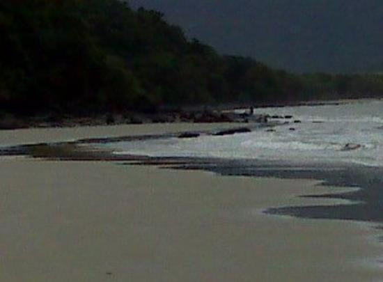 Daintree National Park-Cape Tribulation必去景点