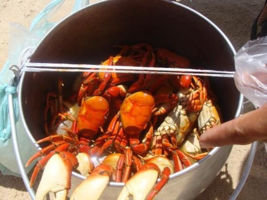 Boa Viagem Beach-累西腓必去景点