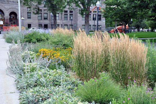 盐湖城公共图书馆-盐湖城必去景点