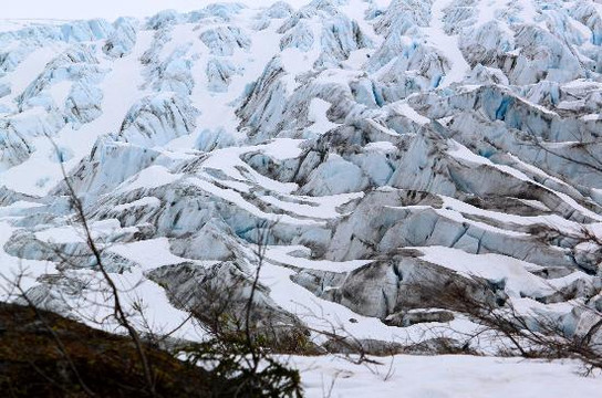 Exit Glacier Guides - Day Tours-苏厄德必去景点