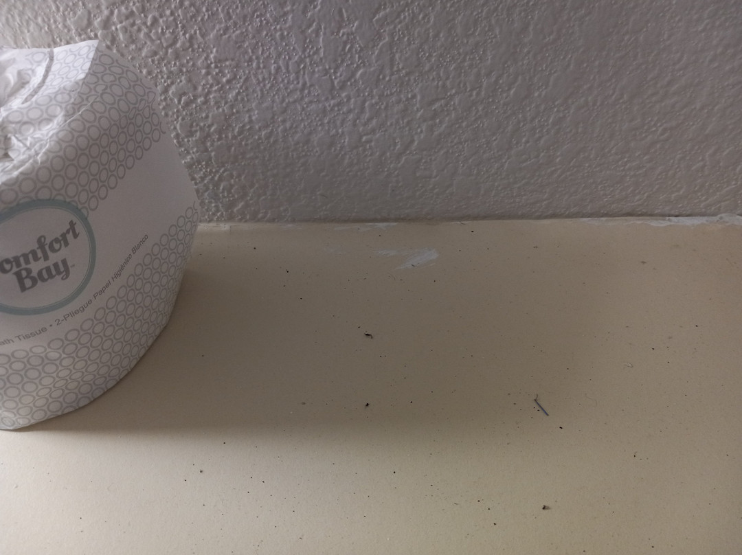 WoodSpring Suites Chesapeake-Norfolk South主图