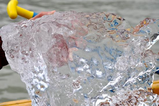 Glacier Point Wilderness Safari-史凯威必去景点