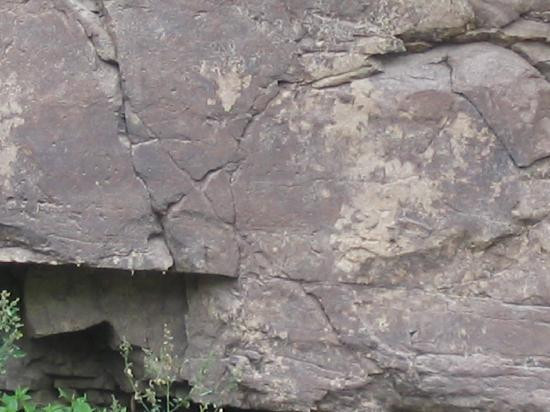 Bangudae Cliff-蔚山必去景点