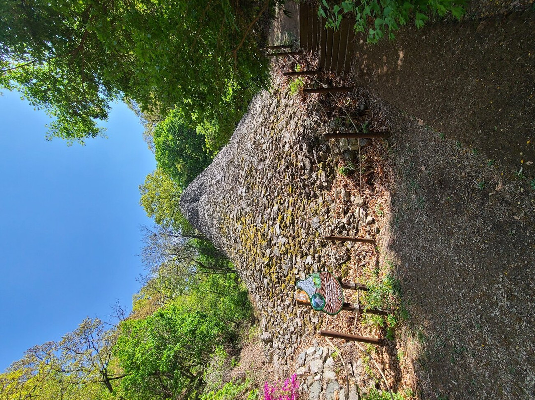 Apsan Park-大邱必去景点