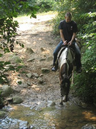 Blanche Manor Horseback Riding景点图片