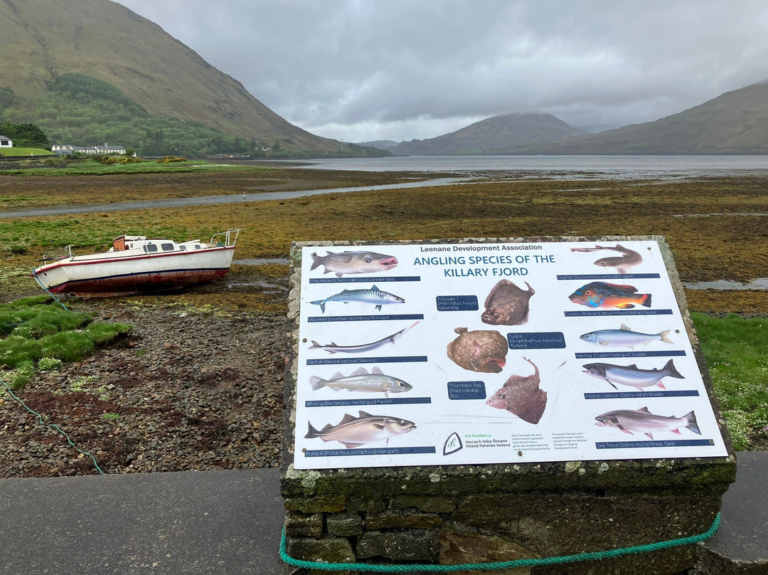 Killary Fjord景点图片