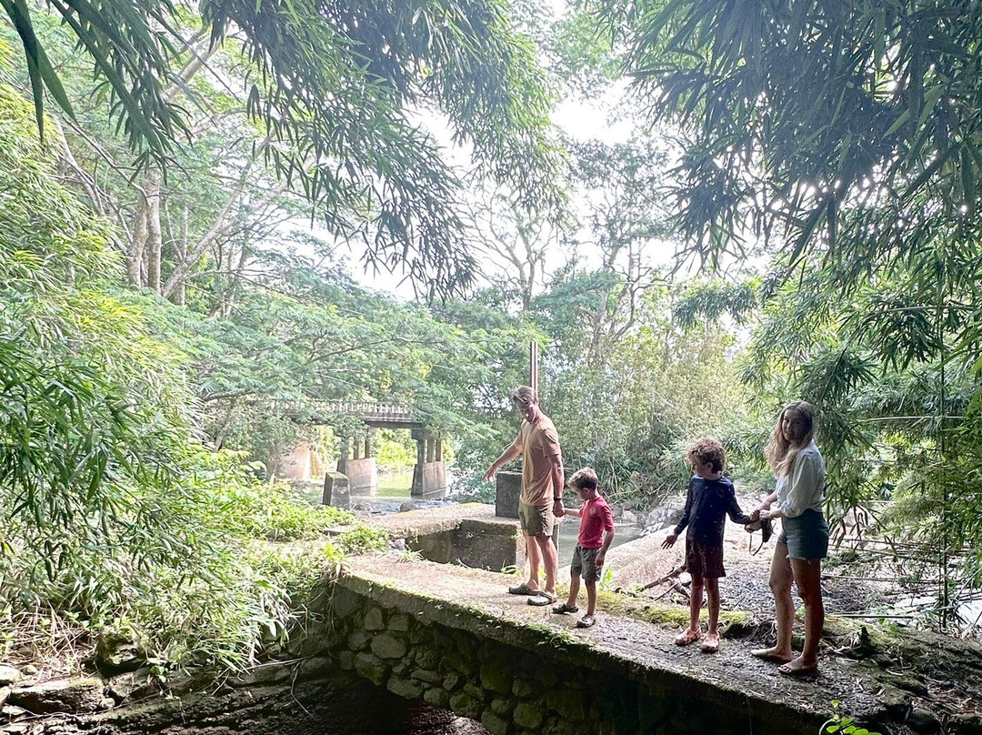 Maui Radiant Tours-拉海纳必去景点
