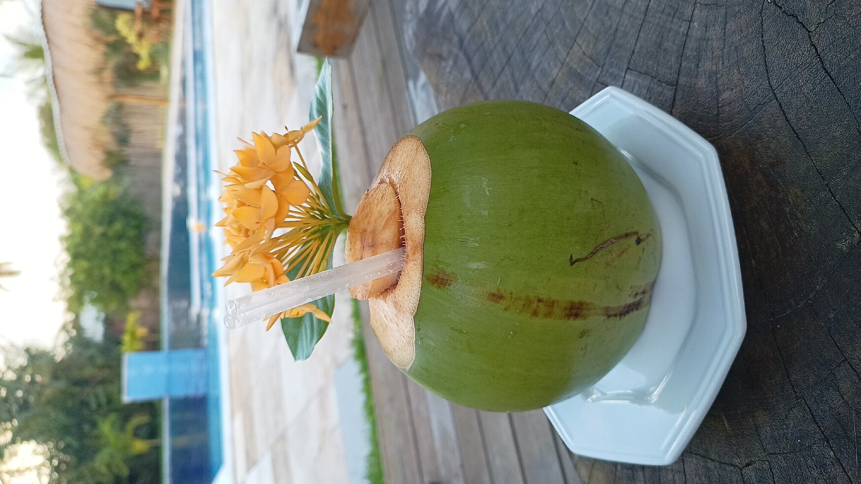 Pousada Vila do Coco - Milagres Al-官方