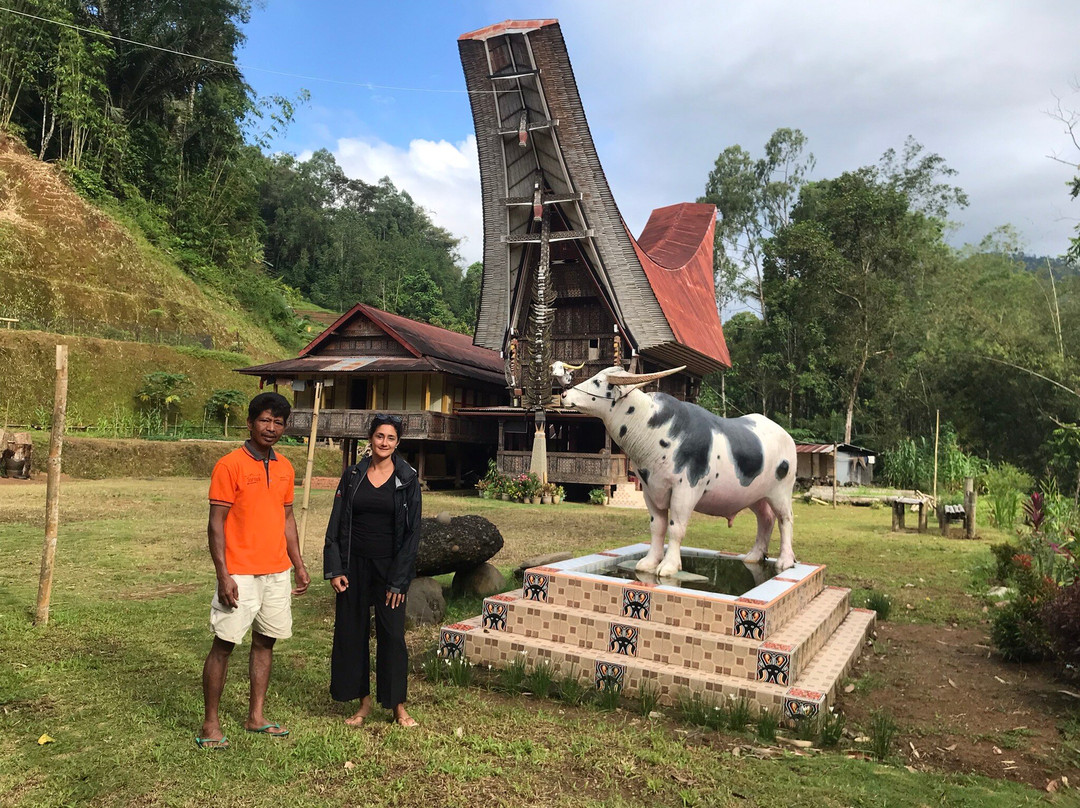 Local Guides - Tana Toraja景点图片