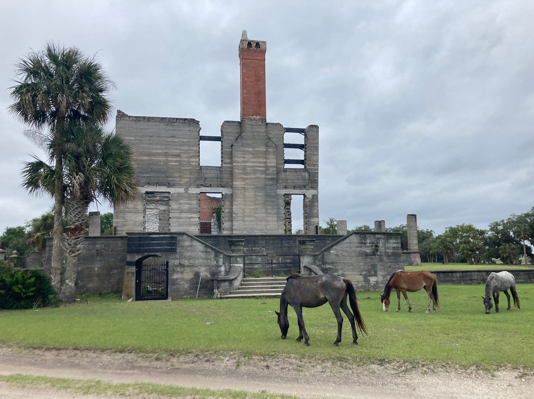 Cumberland Island National Seashore-St. Marys必去景点