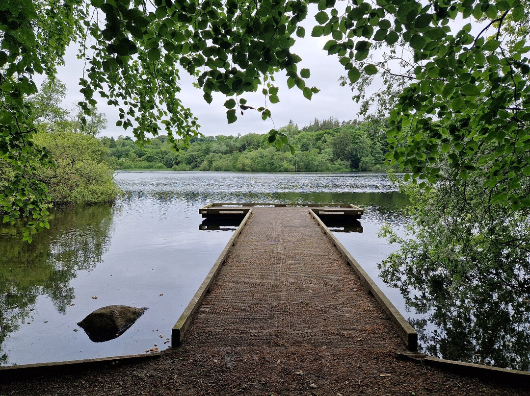 Bolam Lake Country Park-Belsay必去景点