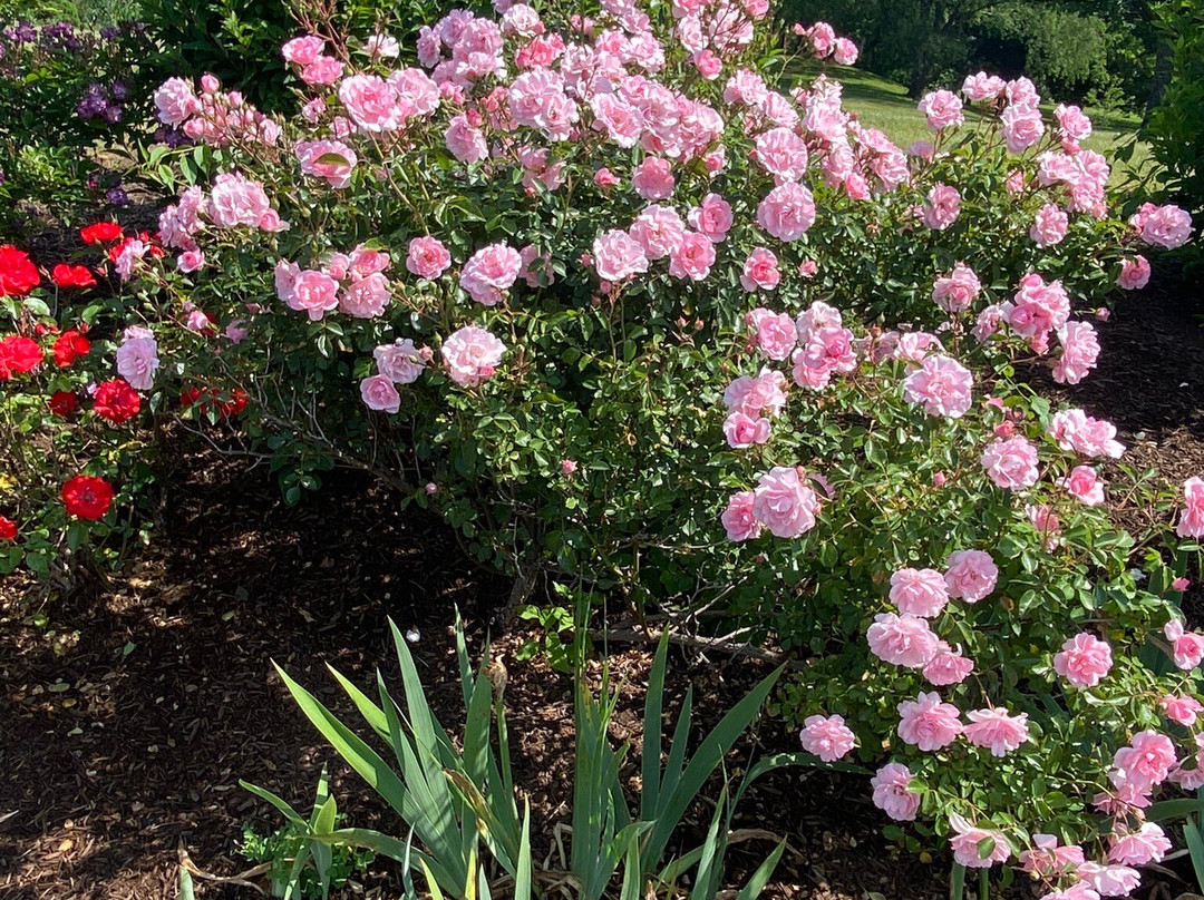 Boothe Memorial Park and Museum-Stratford必去景点