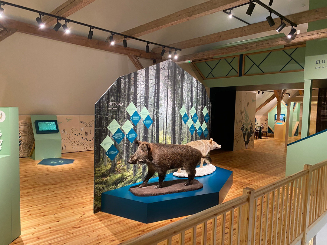 Sagadi Forest Museum-Sagadi必去景点