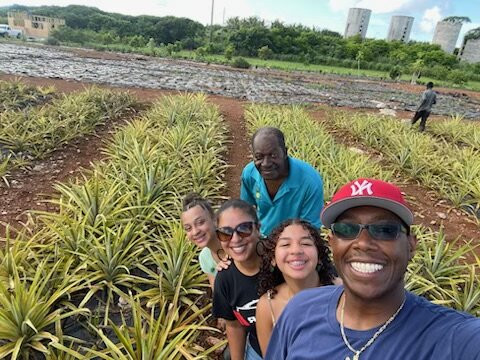 Eleuthera Pineapple Farm Tours景点图片