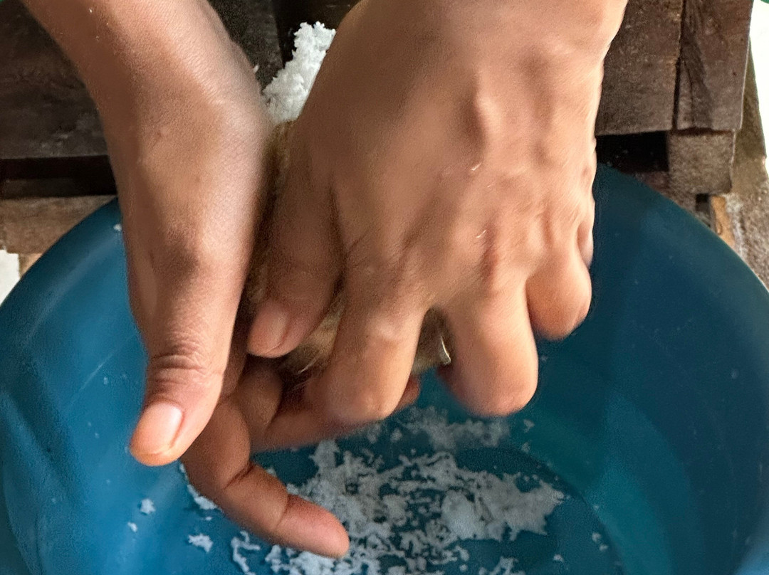 Negombo Cooking Class景点图片