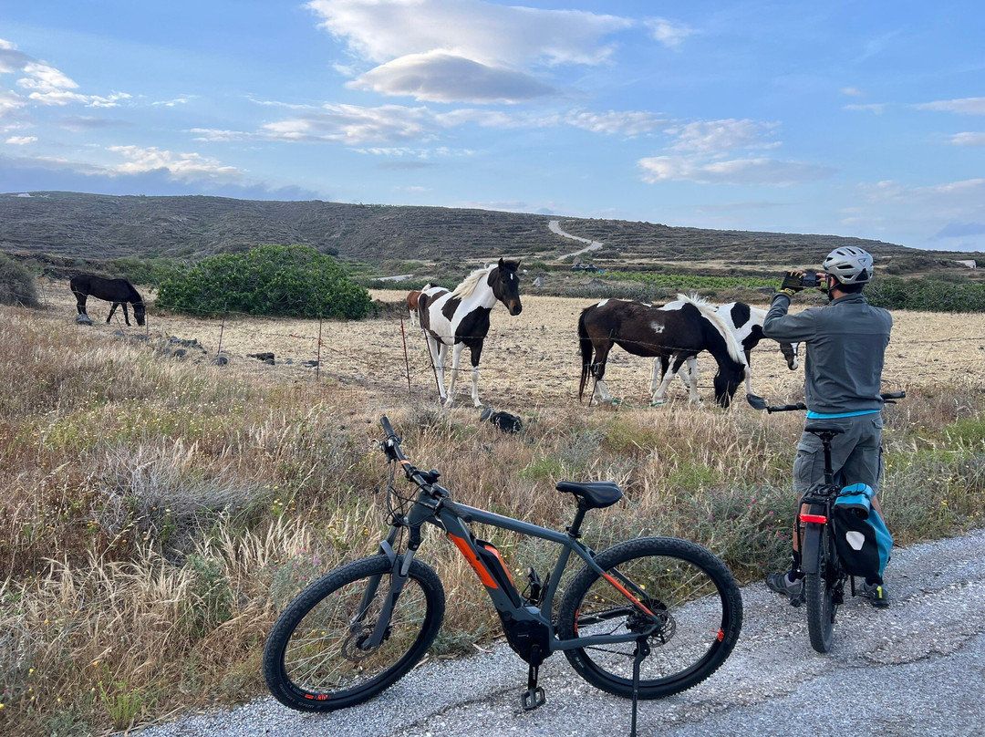 Explore Thirasia E-Mountain Bike-锡拉夏岛必去景点