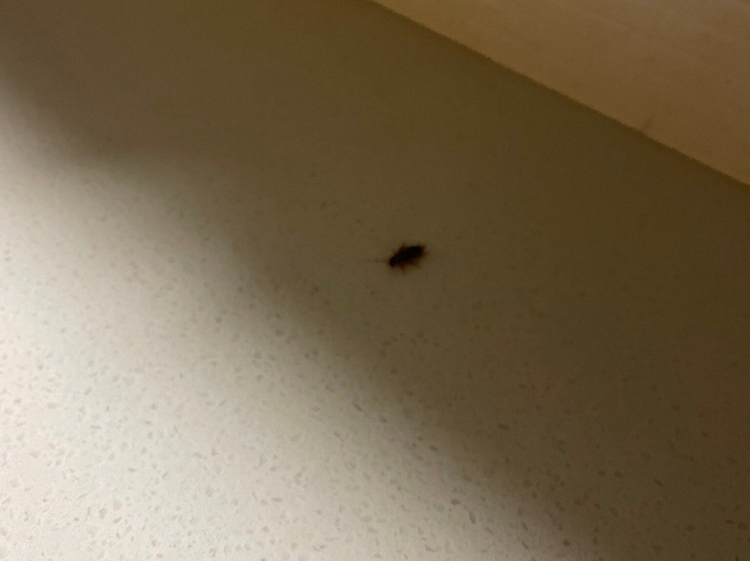 Candlewood Suites Smyrna - Nashville by IHG主图