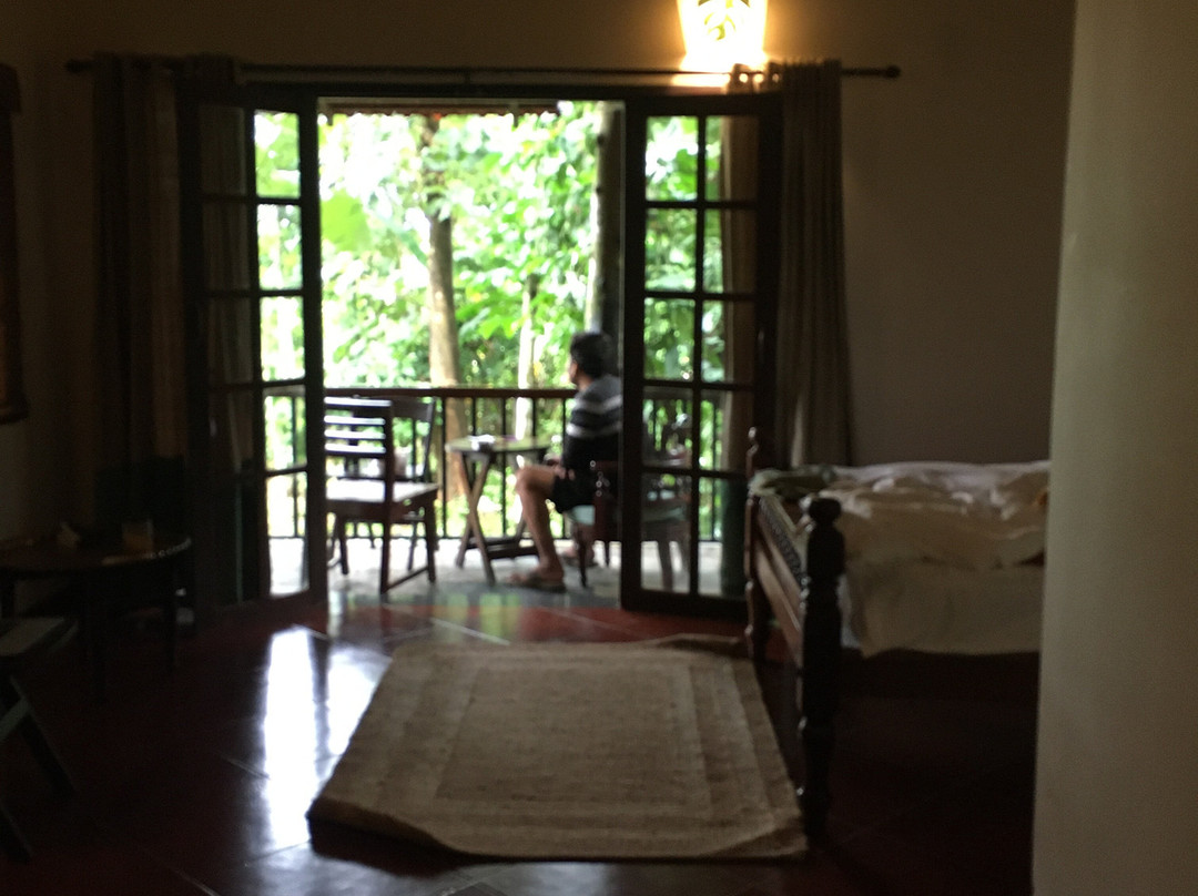 Raindrops Resorts主图