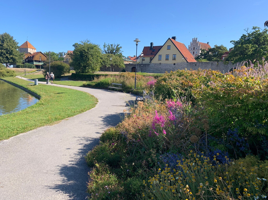 Almedalen Park-维斯比必去景点