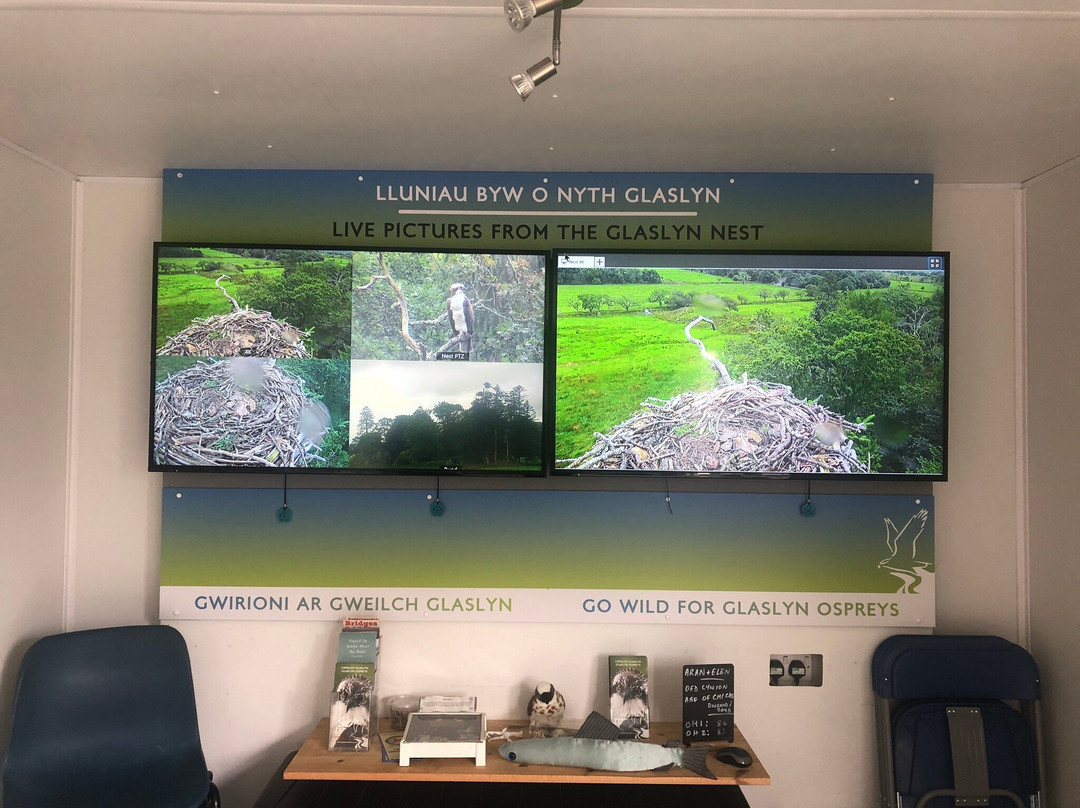 Bywyd Gwyllt Glaslyn Wildlife - Glaslyn Ospreys景点图片