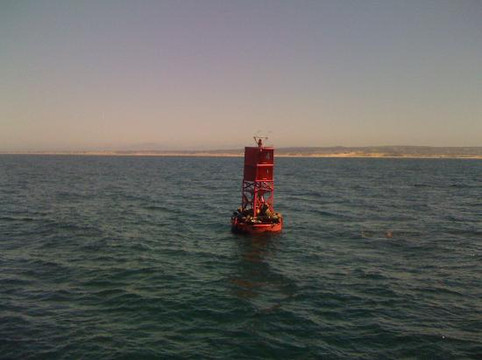 蒙特雷公主观鲸之旅-蒙特雷必去景点